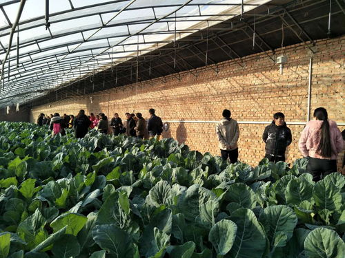 助推北京農業信息化發展，奧科美獲北京市農產品產銷信息協會表彰